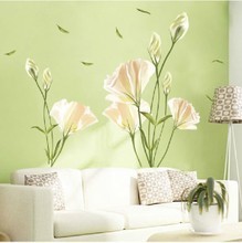 【百合花墻貼大】最新最全產品參考信息與選購指南